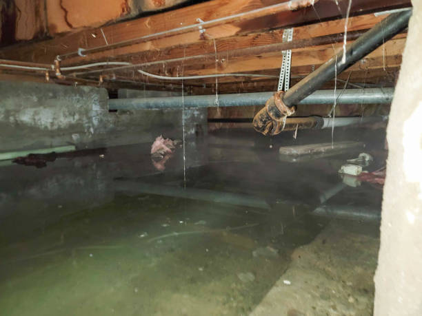 Best Water damage restoration cost  in Mattawan, MI