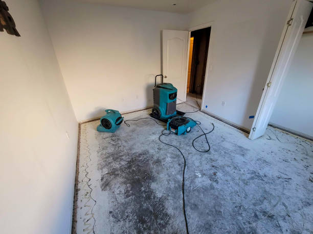 Best Flood restoration services  in Mattawan, MI