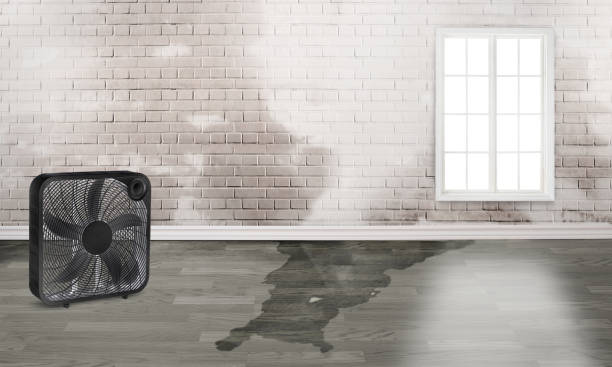 Best Emergency water damage restoration  in Mattawan, MI