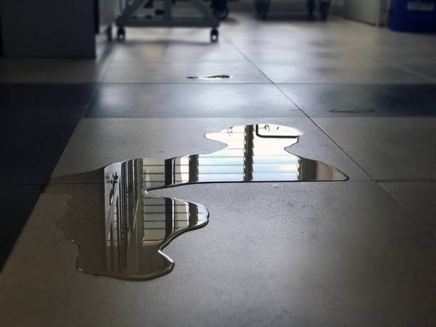 Best 24/7 water damage repair  in Mattawan, MI
