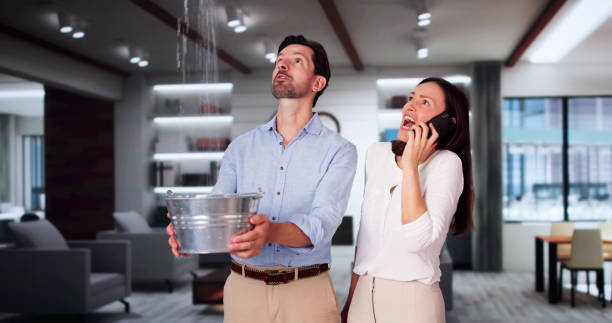 Best Flood damage cleanup  in Mattawan, MI