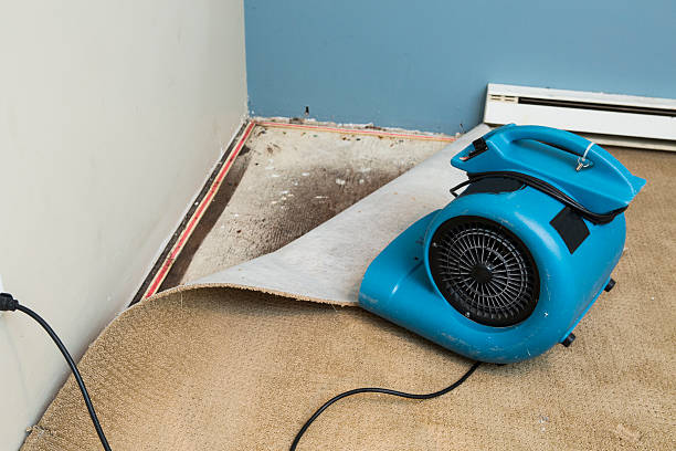 Best Flooded house restoration  in Mattawan, MI